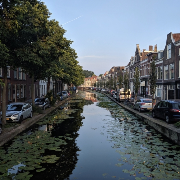 Meet your posh ambassador Liseth - Picture 7 of 12